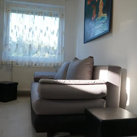 Lali Vendeghaz Guest house Asvanyraro